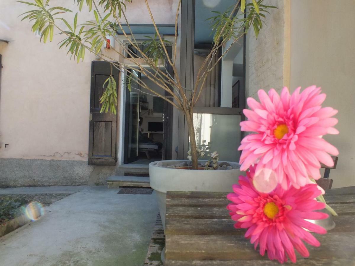 Loft Garden In Bologna'S Heart Ospedale Rizzoli Apartman Kültér fotó